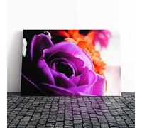 Big Box Art Canvas Print Wall Art Flower Purple Rose | Mounted and Stretched Box Frame Picture | Home Decor for Kitchen, Living, Dining Room, Bedroom, Hallway, Multi-Colour, 20x14 Inch