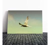 Big Box Art Canvas Print Wall Art Flying Bird (2) | Mounted and Stretched Box Frame Picture | Home Decor for Kitchen, Living, Dining Room, Bedroom, Hallway, Multi-Colour, 30x20 Inch