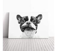 Big Box Art Canvas Print Wall Art French Bulldog Dog (2) | Mounted and Stretched Box Frame Picture | Home Decor for Kitchen, Living, Dining Room, Bedroom, Hallway, Multi-Colour, 20x14 Inch