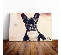 Big Box Art Canvas Print Wall Art French Bulldog Puppy Dog | Mounted and Stretched Box Frame Picture | Home Decor for Kitchen, Living, Dining Room, Bedroom, Hallway, Multi-Colour, 20x14 Inch