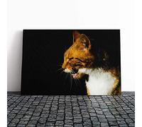 Big Box Art Canvas Print Wall Art Ginger Cat | Mounted and Stretched Box Frame Picture | Home Decor for Kitchen, Living, Dining Room, Bedroom, Hallway, Multi-Colour, 30x20 Inch