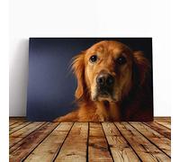 Big Box Art Canvas Print Wall Art Golden Retriever Dog 2 | Mounted and Stretched Box Frame Picture | Home Decor for Kitchen, Living, Dining Room, Bedroom, Hallway, Multi-Colour, 30x20 Inch