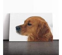 Big Box Art Canvas Print Wall Art Golden Retriever Dog | Mounted and Stretched Box Frame Picture | Home Decor for Kitchen, Living, Dining Room, Bedroom, Hallway, Multi-Colour, 20x14 Inch