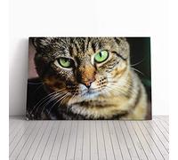 Big Box Art Canvas Print Wall Art Green Eyed Cat (2) | Mounted and Stretched Box Frame Picture | Home Decor for Kitchen, Living, Dining Room, Bedroom, Hallway, Multi-Colour, 24x16 Inch