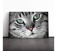 Big Box Art Canvas Print Wall Art Green Eyed Cat | Mounted and Stretched Box Frame Picture | Home Decor for Kitchen, Living, Dining Room, Bedroom, Hallway, Multi-Colour, 20x14 Inch