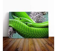 Big Box Art Canvas Print Wall Art Green Mamba Snakes | Mounted and Stretched Box Frame Picture | Home Decor for Kitchen, Living, Dining Room, Bedroom, Hallway, Multi-Colour, 24x16 Inch