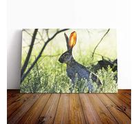 Big Box Art Canvas Print Wall Art Hare in The Meadow | Mounted and Stretched Box Frame Picture | Home Decor for Kitchen, Living, Dining Room, Bedroom, Hallway, Multi-Colour, 20x14 Inch