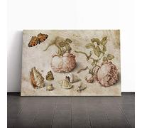 Big Box Art Canvas Print Wall Art Jan Van Kessel Still Life Flowers Insects | Mounted & Stretched Box Frame Picture | Home Decor for Kitchen, Living Room, Bedroom, Hallway, Multi-Colour, 24x16 Inch