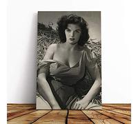 Big Box Art Canvas Print Wall Art Jane Russell | Mounted and Stretched Box Frame Picture | Home Decor for Kitchen, Living, Dining Room, Bedroom, Hallway, Multi-Colour, 24x16 Inch