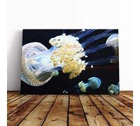Big Box Art Canvas Print Wall Art Jellyfish (1) | Mounted and Stretched Box Frame Picture | Home Decor for Kitchen, Living, Dining Room, Bedroom, Hallway, Multi-Colour, 24x16 Inch