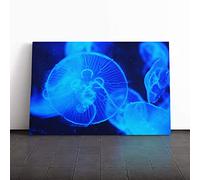 Big Box Art Canvas Print Wall Art Jellyfish (4) | Mounted and Stretched Box Frame Picture | Home Decor for Kitchen, Living, Dining Room, Bedroom, Hallway, Multi-Colour, 20x14 Inch