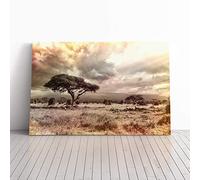 Big Box Art Canvas Print Wall Art Landscape Africa Savannah | Mounted and Stretched Box Frame Picture | Home Decor for Kitchen, Living, Dining Room, Bedroom, Hallway, Multi-Colour, 24x16 Inch