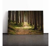 Big Box Art Canvas Print Wall Art Landscape Beautiful Forest Wood (1) | Mounted & Stretched Box Frame Picture | Home Decor for Kitchen, Living Room, Bedroom, Hallway, Multi-Colour, 24x16 Inch