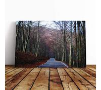 Big Box Art Canvas Print Wall Art Landscape Montseny Forest Wood Barcelona Spain | Mounted & Stretched Box Frame Picture | Home Decor for Kitchen, Living Room, Bedroom, Multi-Colour, 30x20 Inch