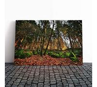 Big Box Art Canvas Print Wall Art Landscape Portland Oregon Forest Wood USA | Mounted & Stretched Box Frame Picture | Home Decor for Kitchen, Living Room, Bedroom, Hallway, Multi-Colour, 30x20 Inch