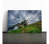 Big Box Art Canvas Print Wall Art Landscape Sheep in New Zealand 2 | Mounted and Stretched Box Frame Picture | Home Decor for Kitchen, Living Room, Bedroom, Hallway, Multi-Colour, 24x16 Inch