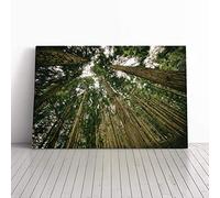 Big Box Art Canvas Print Wall Art Landscape Woodland Forest Sky | Mounted and Stretched Box Frame Picture | Home Decor for Kitchen, Living, Dining Room, Bedroom, Hallway, Multi-Colour, 20x14 Inch