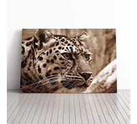 Big Box Art Canvas Print Wall Art Leopard 2 | Mounted and Stretched Box Frame Picture | Home Decor for Kitchen, Living, Dining Room, Bedroom, Hallway, Multi-Colour, 30x20 Inch