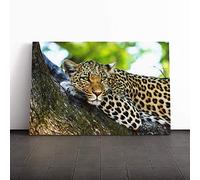 Big Box Art Canvas Print Wall Art Leopard 5 | Mounted and Stretched Box Frame Picture | Home Decor for Kitchen, Living, Dining Room, Bedroom, Hallway, Multi-Colour, 30x20 Inch