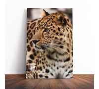 Big Box Art Canvas Print Wall Art Leopard on Alert | Mounted and Stretched Box Frame Picture | Home Decor for Kitchen, Living, Dining Room, Bedroom, Hallway, Multi-Colour, 24x16 Inch