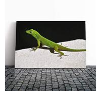 Big Box Art Canvas Print Wall Art Lizard Reptile (1) | Mounted and Stretched Box Frame Picture | Home Decor for Kitchen, Living, Dining Room, Bedroom, Hallway, Multi-Colour, 24x16 Inch