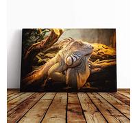 Big Box Art Canvas Print Wall Art Lizard Reptile (2) | Mounted and Stretched Box Frame Picture | Home Decor for Kitchen, Living, Dining Room, Bedroom, Hallway, Multi-Colour, 24x16 Inch