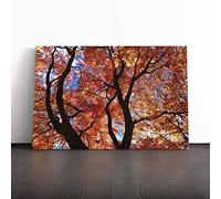 Big Box Art Canvas Print Wall Art Maple Tree Leaf Autumn 2 | Mounted and Stretched Box Frame Picture | Home Decor for Kitchen, Living, Dining Room, Bedroom, Hallway, Multi-Colour, 20x14 Inch