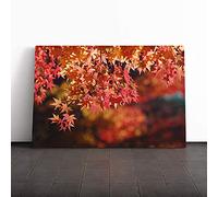 Big Box Art Canvas Print Wall Art Maple Tree Leaf | Mounted and Stretched Box Frame Picture | Home Decor for Kitchen, Living, Dining Room, Bedroom, Hallway, Multi-Colour, 24x16 Inch