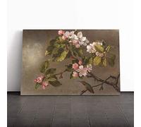 Big Box Art Canvas Print Wall Art Martin Johnson Heade Apple Blossom | Mounted & Stretched Box Frame Picture | Home Decor for Kitchen, Living Room, Bedroom, Hallway, Multi-Colour, 20x14 Inch