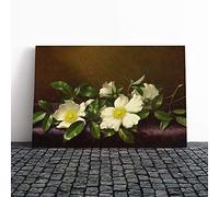 Big Box Art Canvas Print Wall Art Martin Johnson Heade Cherokee Roses | Mounted & Stretched Box Frame Picture | Home Decor for Kitchen, Living Room, Bedroom, Hallway, Multi-Colour, 30x20 Inch