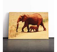 Big Box Art Canvas Print Wall Art Mother and Baby Elephant (2) | Mounted and Stretched Box Frame Picture | Home Decor for Kitchen, Living, Dining Room, Bedroom, Hallway, Multi-Colour, 30x20 Inch