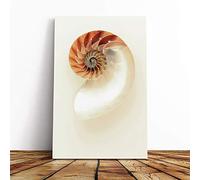 Big Box Art Canvas Print Wall Art Mother of Pearl Shell | Mounted and Stretched Box Frame Picture | Home Decor for Kitchen, Living, Dining Room, Bedroom, Hallway, Multi-Colour, 24x16 Inch