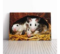 Big Box Art Canvas Print Wall Art Mouse Hole | Mounted and Stretched Box Frame Picture | Home Decor for Kitchen, Living, Dining Room, Bedroom, Hallway, Multi-Colour, 30x20 Inch