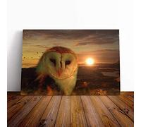 Big Box Art Canvas Print Wall Art Owl and Sunset Landscape | Mounted and Stretched Box Frame Picture | Home Decor for Kitchen, Living, Dining Room, Bedroom, Hallway, Multi-Colour, 20x14 Inch