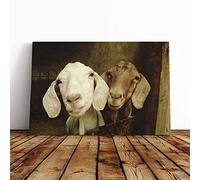 Big Box Art Canvas Print Wall Art Pair of Goats | Mounted and Stretched Box Frame Picture | Home Decor for Kitchen, Living, Dining Room, Bedroom, Hallway, Multi-Colour, 24x16 Inch