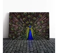Big Box Art Canvas Print Wall Art Peacock | Mounted and Stretched Box Frame Picture | Home Decor for Kitchen, Living, Dining Room, Bedroom, Hallway, Multi-Colour, 20x14 Inch