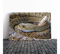 Big Box Art Canvas Print Wall Art Rattle Snake | Mounted and Stretched Box Frame Picture | Home Decor for Kitchen, Living, Dining Room, Bedroom, Hallway, Multi-Colour, 24x16 Inch