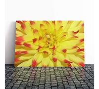 Big Box Art Canvas Print Wall Art Red and Yellow Flower | Mounted and Stretched Box Frame Picture | Home Decor for Kitchen, Living, Dining Room, Bedroom, Hallway, Multi-Colour, 30x20 Inch