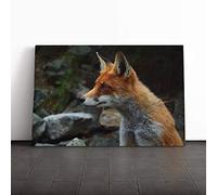 Big Box Art Canvas Print Wall Art Red Fox (6) | Mounted and Stretched Box Frame Picture | Home Decor for Kitchen, Living, Dining Room, Bedroom, Hallway, Multi-Colour, 24x16 Inch
