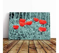 Big Box Art Canvas Print Wall Art Red Poppy Field Flowers (6) | Mounted and Stretched Box Frame Picture | Home Decor for Kitchen, Living, Dining Room, Bedroom, Hallway, Multi-Colour, 30x20 Inch
