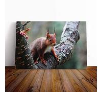 Big Box Art Canvas Print Wall Art Red Squirrel 2 | Mounted and Stretched Box Frame Picture | Home Decor for Kitchen, Living, Dining Room, Bedroom, Hallway, Multi-Colour, 30x20 Inch