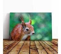 Big Box Art Canvas Print Wall Art Red Squirrel | Mounted and Stretched Box Frame Picture | Home Decor for Kitchen, Living, Dining Room, Bedroom, Hallway, Multi-Colour, 24x16 Inch