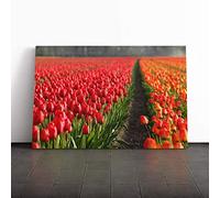 Big Box Art Canvas Print Wall Art Red Tulip Field Flowers Landscape | Mounted & Stretched Box Frame Picture | Home Decor for Kitchen, Living Room, Bedroom, Hallway, Multi-Colour, 30x20 Inch