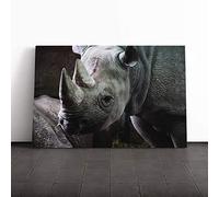 Big Box Art Canvas Print Wall Art Rhino 2 | Mounted and Stretched Box Frame Picture | Home Decor for Kitchen, Living, Dining Room, Bedroom, Hallway, Multi-Colour, 24x16 Inch