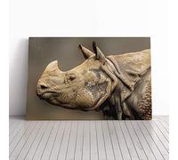 Big Box Art Canvas Print Wall Art Rhino in The Wild | Mounted and Stretched Box Frame Picture | Home Decor for Kitchen, Living, Dining Room, Bedroom, Hallway, Multi-Colour, 24x16 Inch