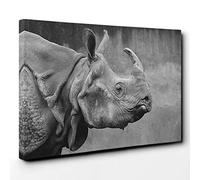 Big Box Art Canvas Print Wall Art Rhino | Mounted and Stretched Box Frame Picture | Home Decor for Kitchen, Living, Dining Room, Bedroom, Hallway, Multi-Colour, 30x20 Inch