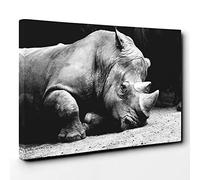 Big Box Art Canvas Print Wall Art Rhino | Mounted and Stretched Box Frame Picture | Home Decor for Kitchen, Living, Dining Room, Bedroom, Hallway, Multi-Colour, 20x14 Inch