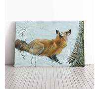 Big Box Art Canvas Print Wall Art Robert Bateman Fox | Mounted and Stretched Box Frame Picture | Home Decor for Kitchen, Living, Dining Room, Bedroom, Hallway, Multi-Colour, 30x20 Inch