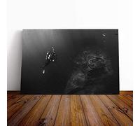 Big Box Art Canvas Print Wall Art Scuba Diving | Mounted and Stretched Box Frame Picture | Home Decor for Kitchen, Living, Dining Room, Bedroom, Hallway, Multi-Colour, 24x16 Inch