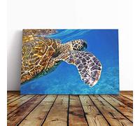 Big Box Art Canvas Print Wall Art Sea Turtle (2) | Mounted and Stretched Box Frame Picture | Home Decor for Kitchen, Living, Dining Room, Bedroom, Hallway, Multi-Colour, 30x20 Inch